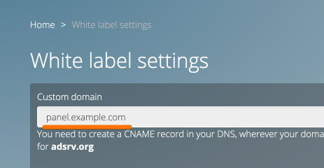 Custom domain setting up - Adserver.Online